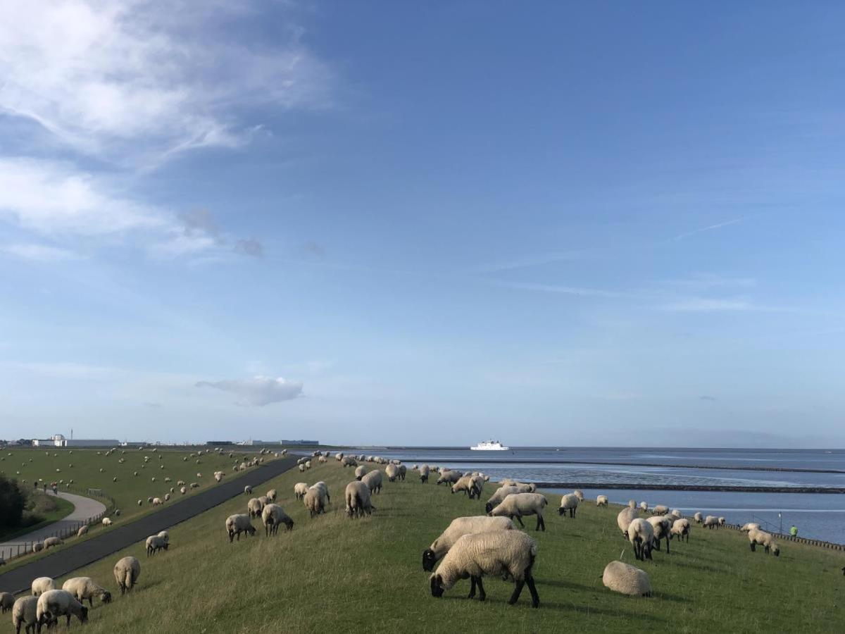 Wind Und Meer - Traumhaft An Der Nordsee Norddeich  Esterno foto
